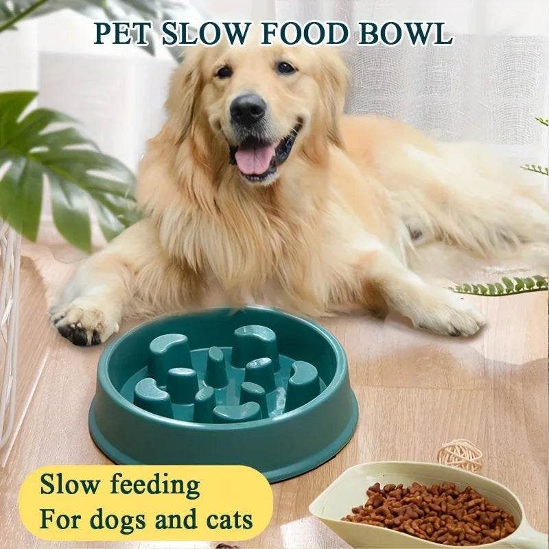Non-Slip Slow Feeder Bowl for Dogs & Cats – Prevents Choking & Promotes Healthy Eating
