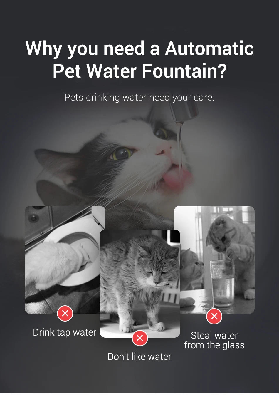 ROJECO Smart Cat & Dog Water Fountain – Automatic Pet Water Dispenser with Recirculating Filter